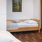 阿尔卑旅馆 3* 布莱德