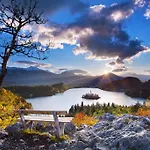 阿尔卑旅馆 招待所