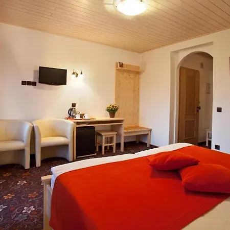 ゲストハウス アルプ ペンション 3*